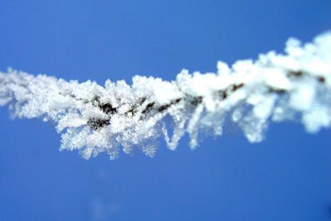 /Ar/Announcements/PublishingImages/winter-frost.jpg