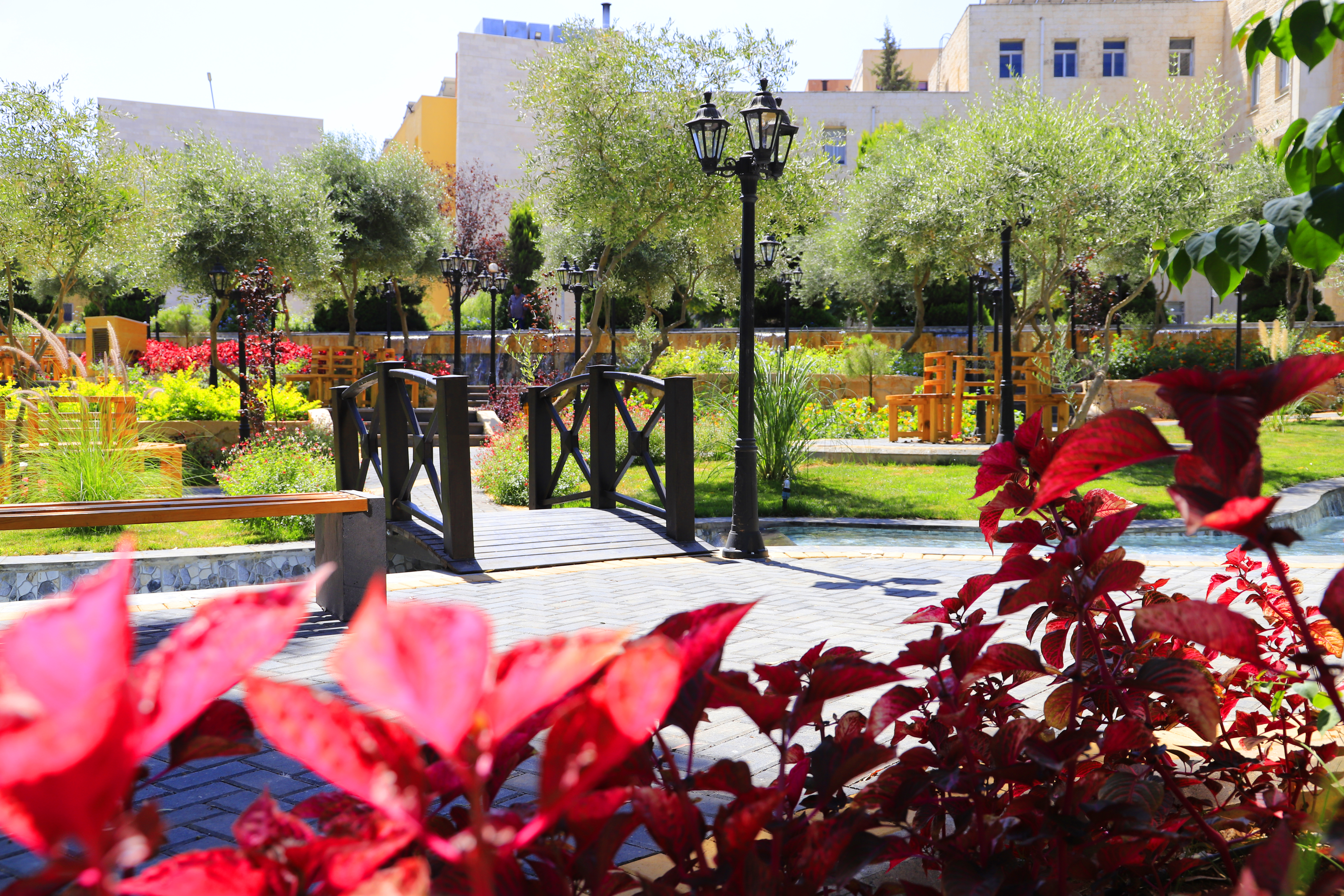Petra University